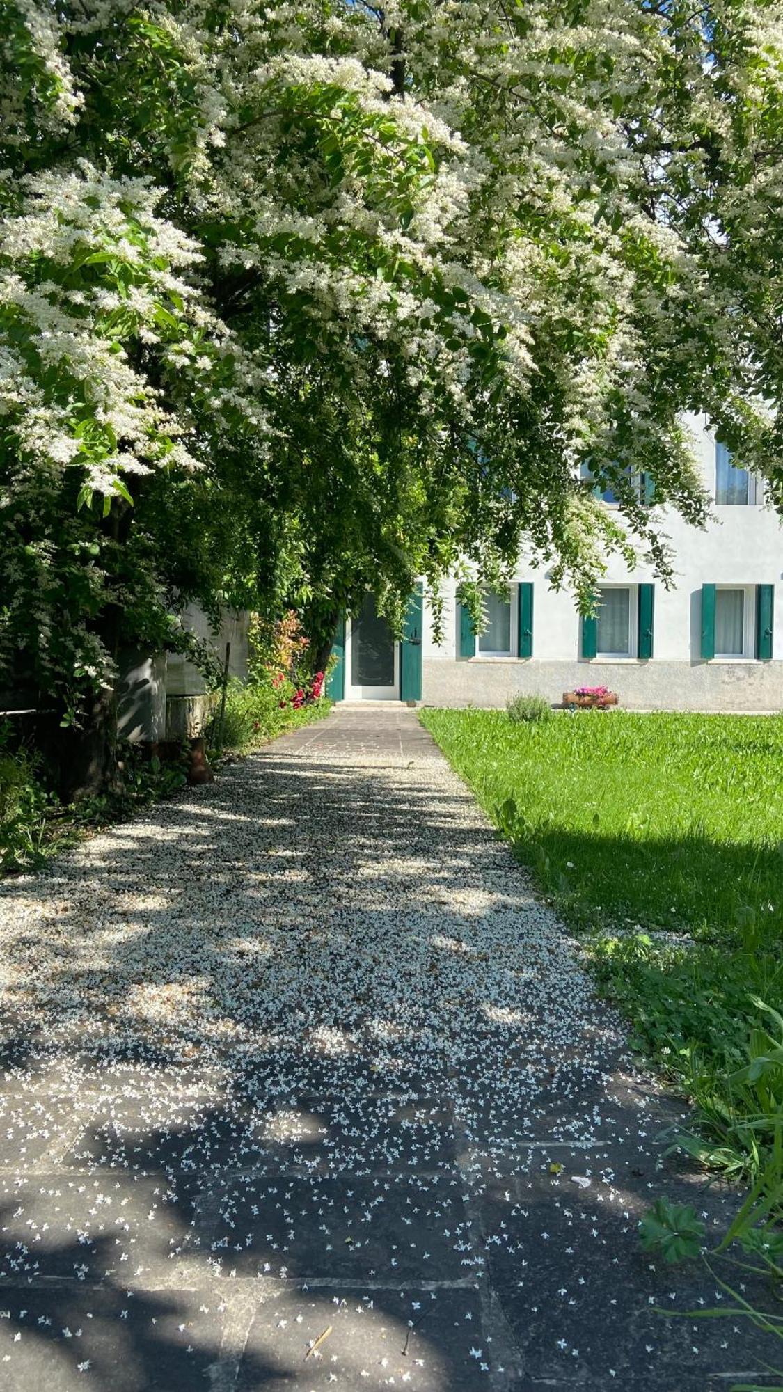 Magnolia 41 Apartment Possagno Exterior photo