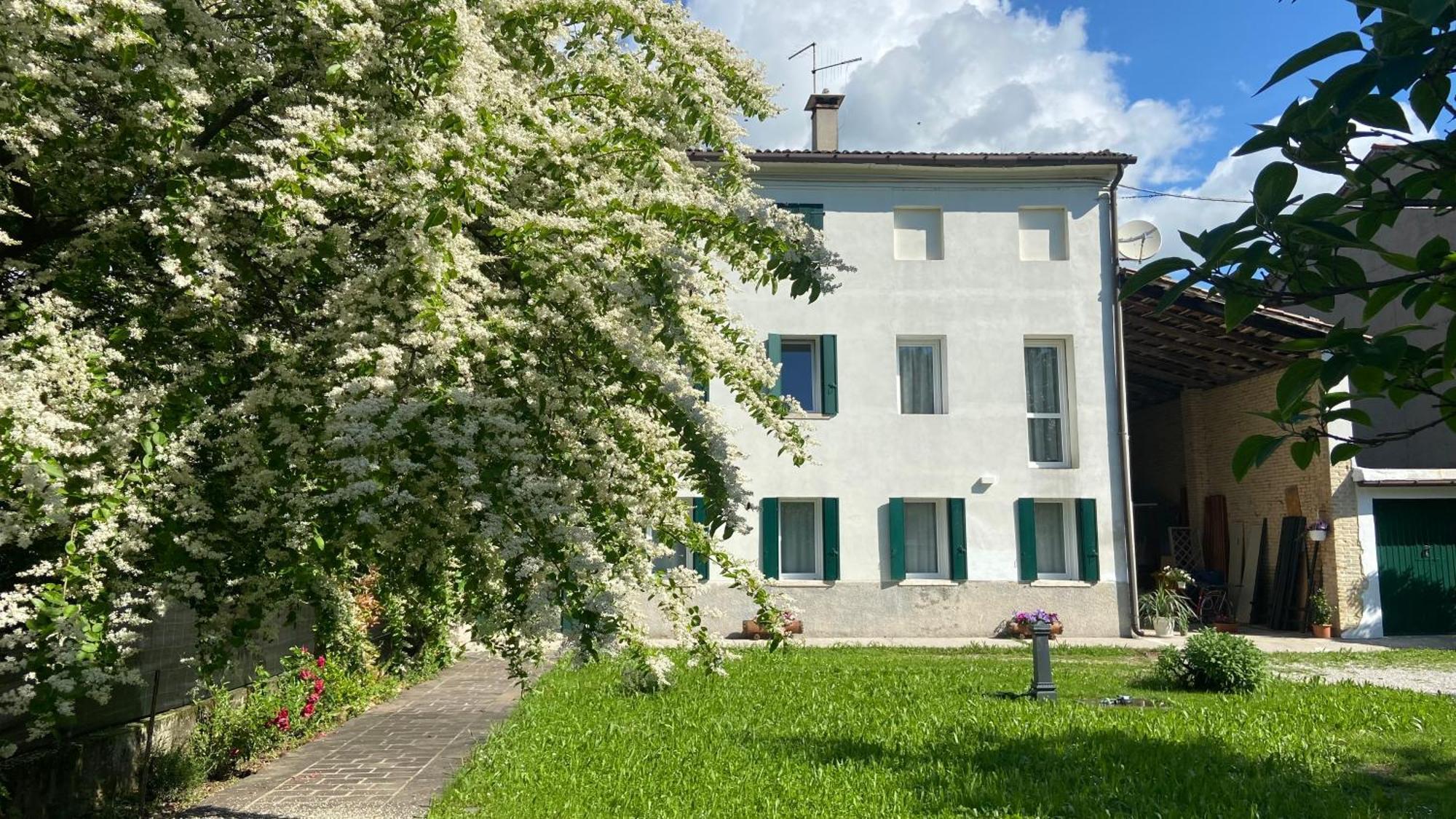 Magnolia 41 Apartment Possagno Exterior photo